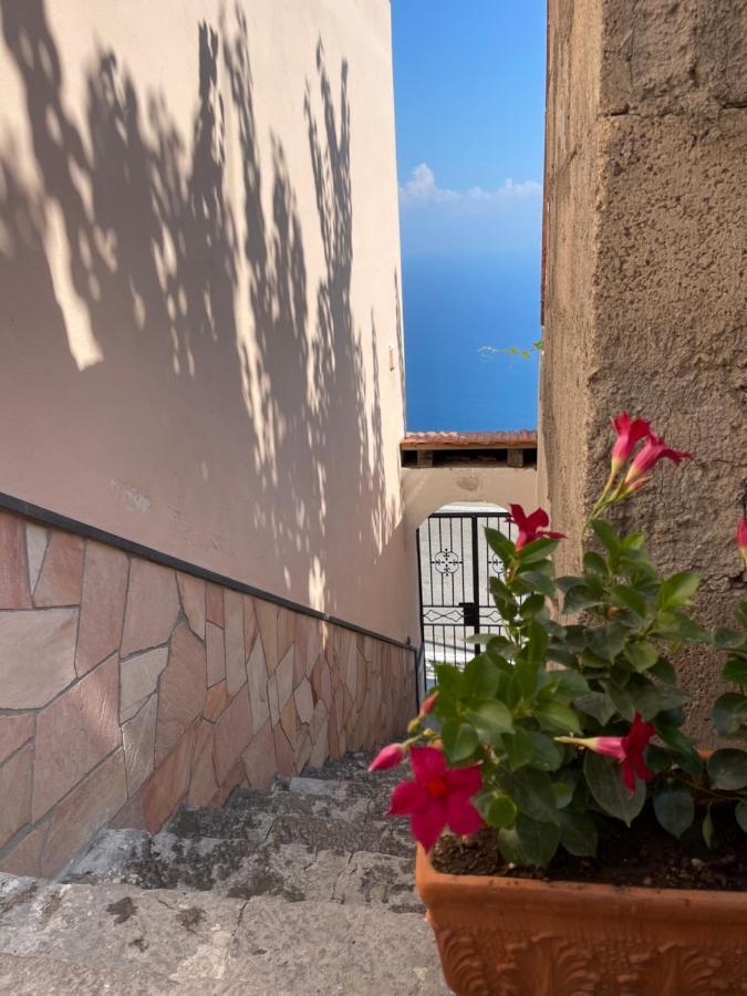 Seaview Apartments Фуроре Екстериор снимка