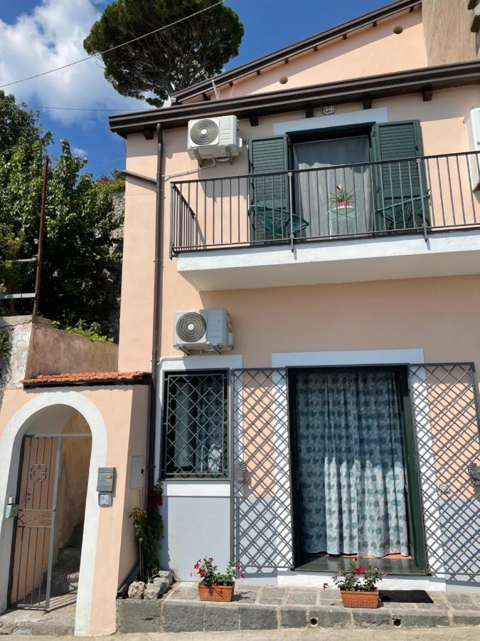 Seaview Apartments Фуроре Екстериор снимка